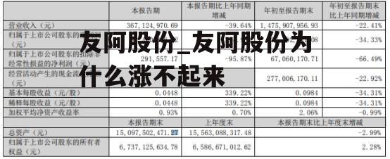 友阿股份_友阿股份为什么涨不起来