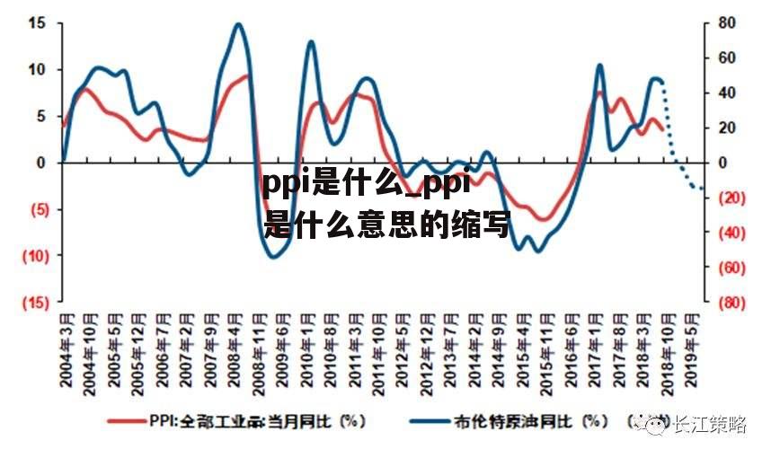 ppi是什么_ppi是什么意思的缩写