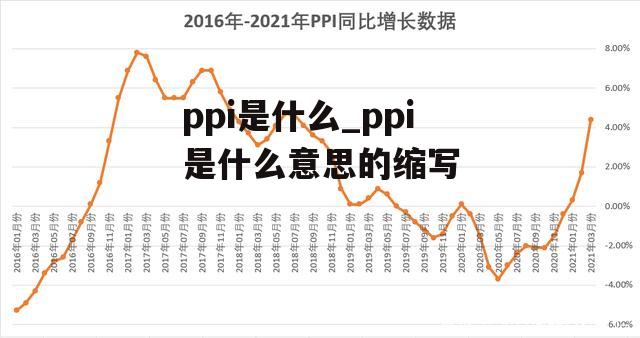 ppi是什么_ppi是什么意思的缩写