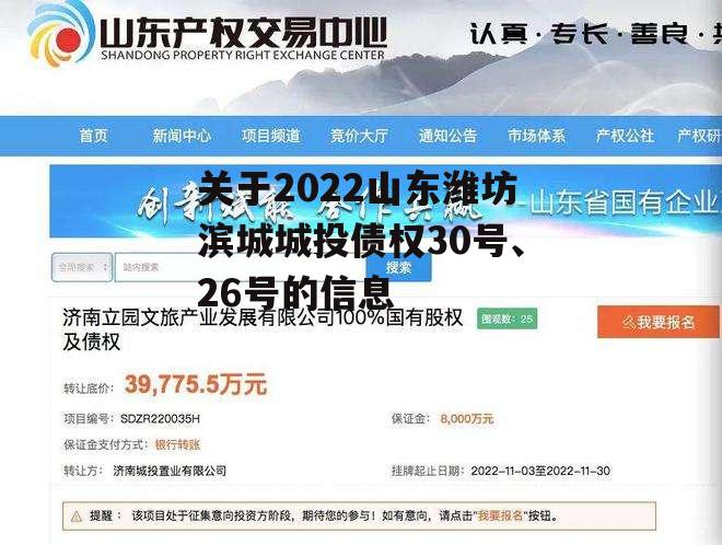 关于2022山东潍坊滨城城投债权30号、26号的信息