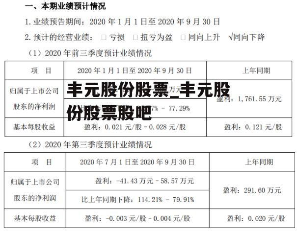 丰元股份股票_丰元股份股票股吧