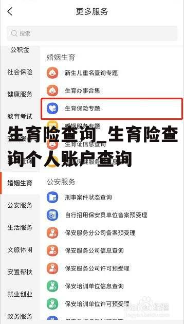 生育险查询_生育险查询个人账户查询