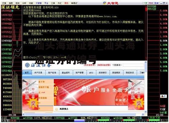 汕头海通证券_汕头海通证券的编号