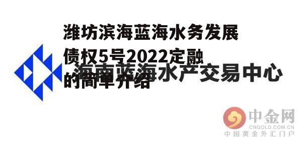 潍坊滨海蓝海水务发展债权5号2022定融的简单介绍