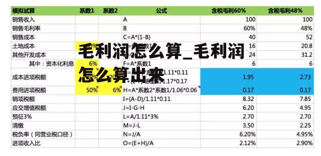 毛利润怎么算_毛利润怎么算出来