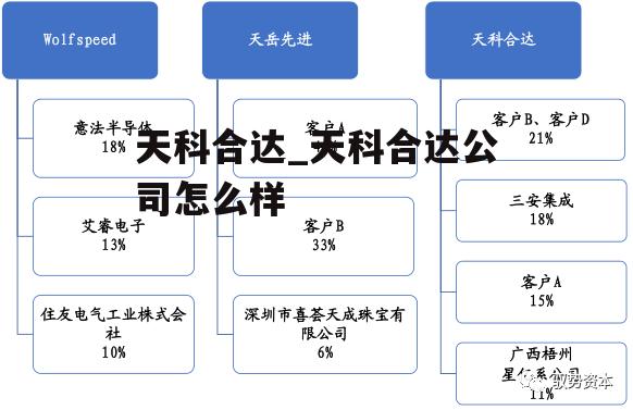 天科合达_天科合达公司怎么样