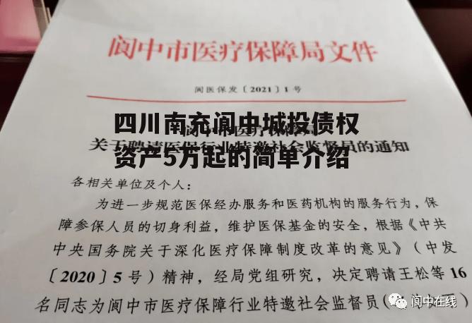 四川南充阆中城投债权资产5万起的简单介绍