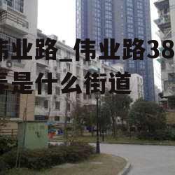 伟业路_伟业路388弄是什么街道