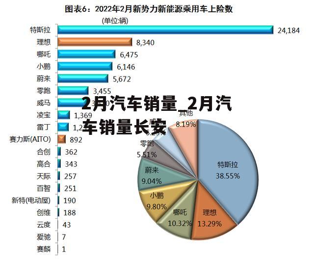 2月汽车销量_2月汽车销量长安