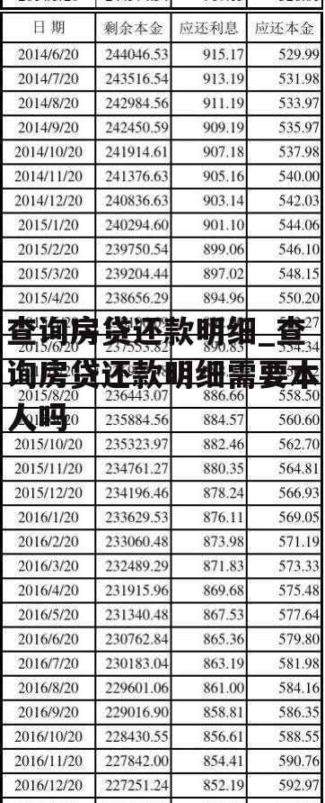 查询房贷还款明细_查询房贷还款明细需要本人吗