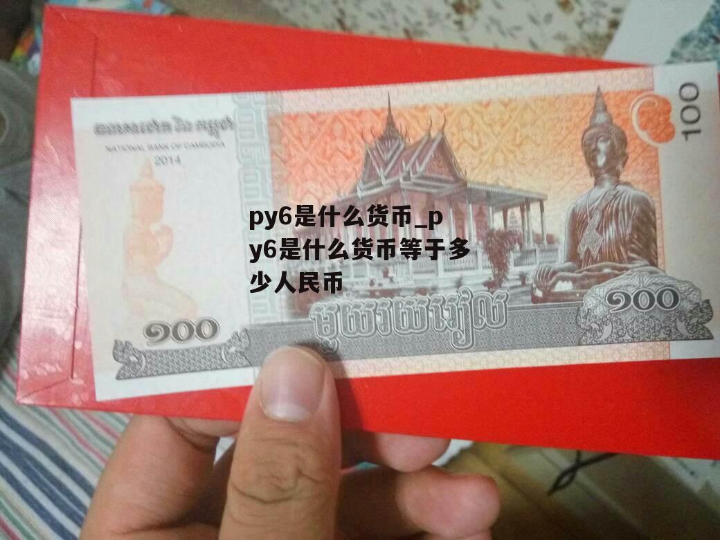 py6是什么货币_py6是什么货币等于多少人民币