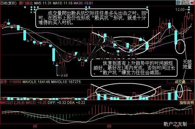 300148股票_300148股票明天行情