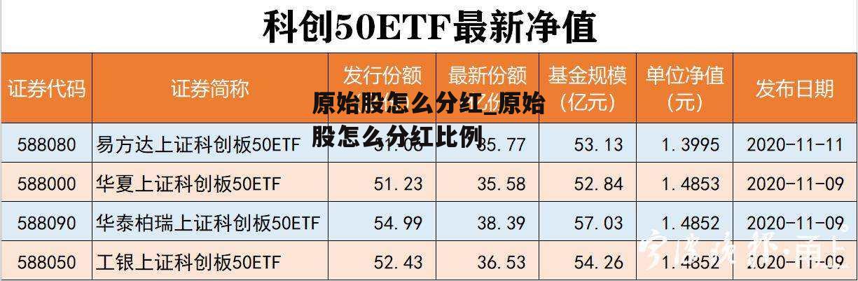 原始股怎么分红_原始股怎么分红比例