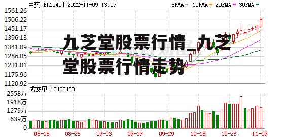 九芝堂股票行情_九芝堂股票行情走势