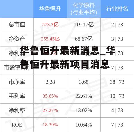 华鲁恒升最新消息_华鲁恒升最新项目消息