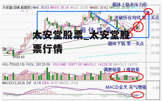 太安堂股票_太安堂股票行情