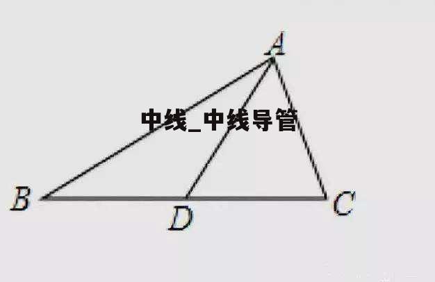 中线_中线导管