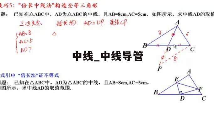 中线_中线导管