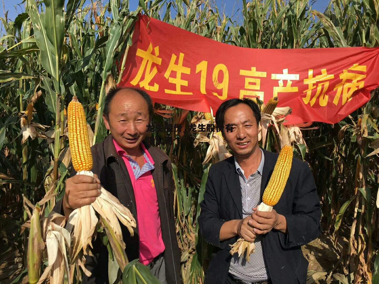 龙生股份_龙生股份有限公司