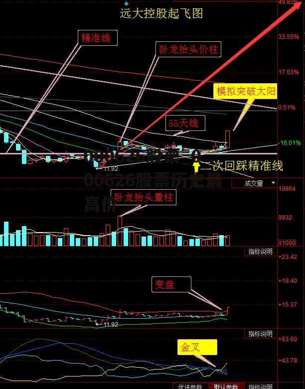 000626股票_000626股票历史最高价