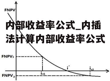 内部收益率公式_内插法计算内部收益率公式