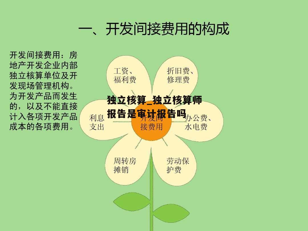 独立核算_独立核算师报告是审计报告吗