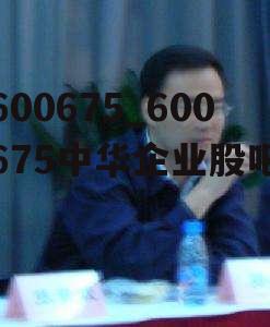 600675_600675中华企业股吧