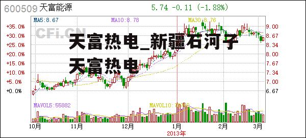 天富热电_新疆石河子天富热电