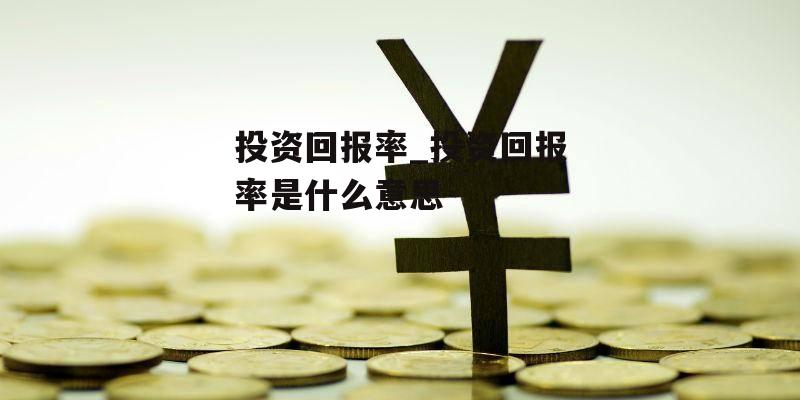 投资回报率_投资回报率是什么意思