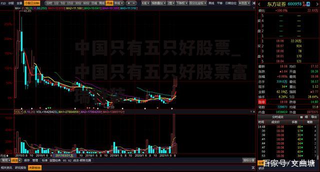 中国只有五只好股票_中国只有五只好股票富瑞特装