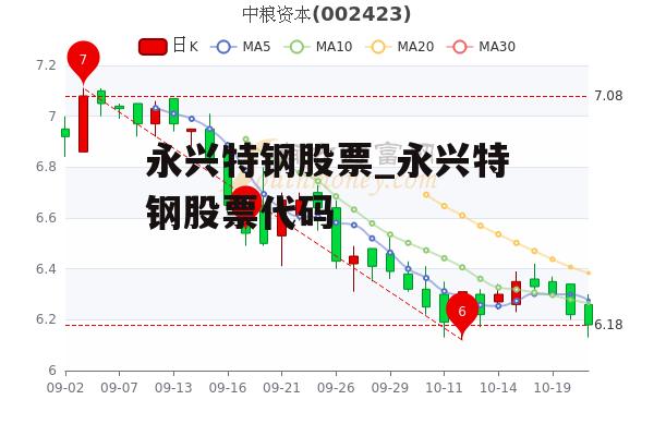 永兴特钢股票_永兴特钢股票代码