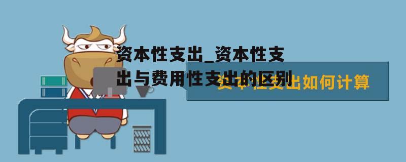 资本性支出_资本性支出与费用性支出的区别