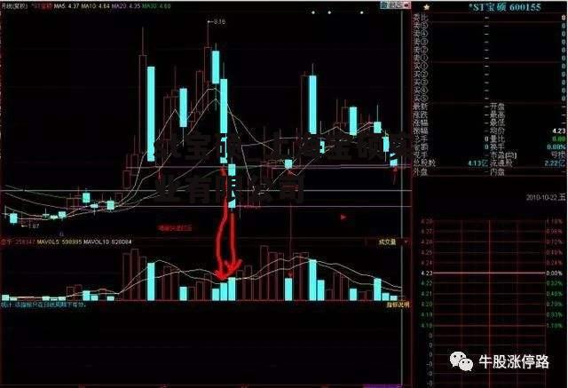 st宝硕_上海宝硕实业有限公司