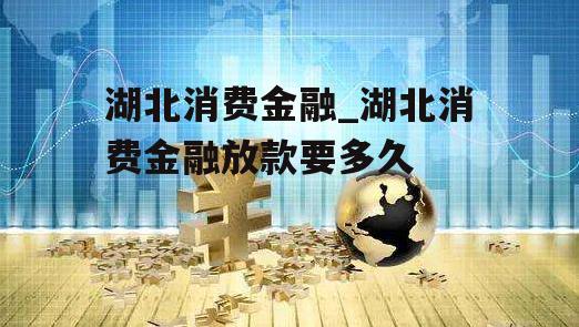 湖北消费金融_湖北消费金融放款要多久