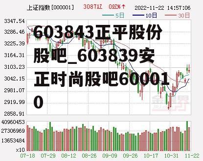 603843正平股份股吧_603839安正时尚股吧600010