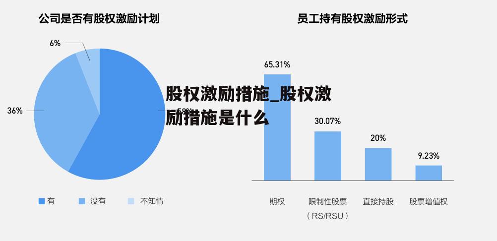 股权激励措施_股权激励措施是什么