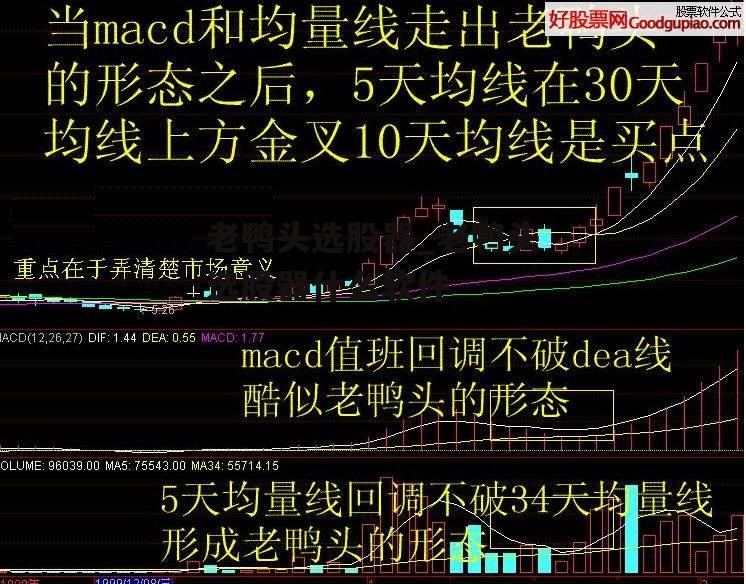 老鸭头选股器_老鸭头选股器什么软件