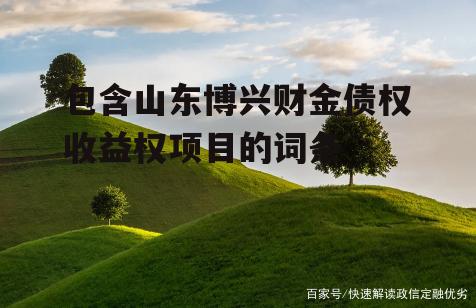 包含山东博兴财金债权收益权项目的词条