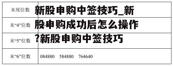 新股申购中签技巧_新股申购成功后怎么操作?新股申购中签技巧