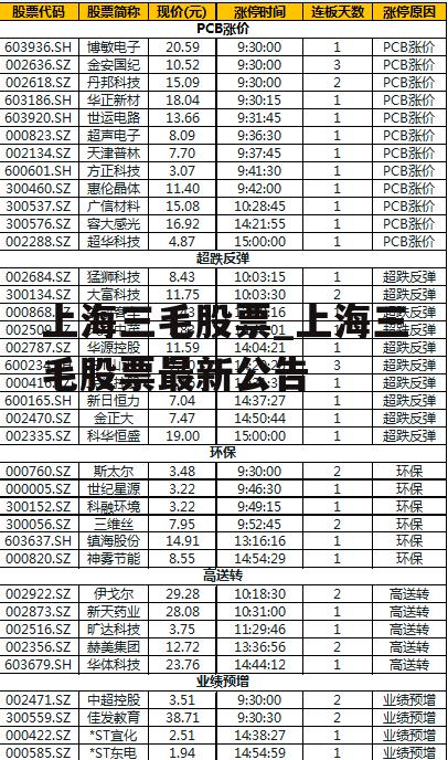 上海三毛股票_上海三毛股票最新公告