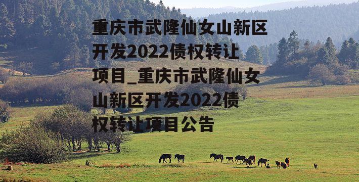 重庆市武隆仙女山新区开发2022债权转让项目_重庆市武隆仙女山新区开发2022债权转让项目公告