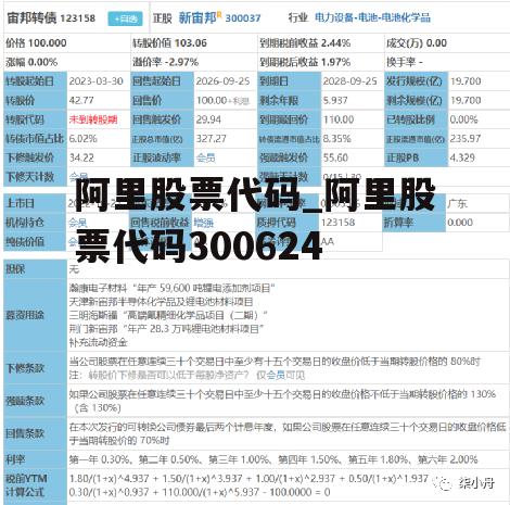 阿里股票代码_阿里股票代码300624