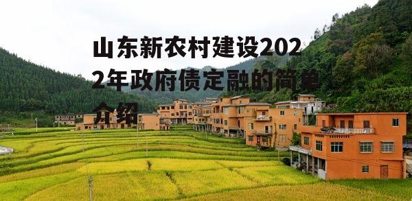 山东新农村建设2022年政府债定融的简单介绍