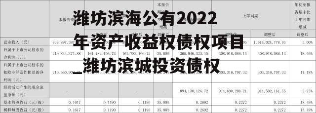 潍坊滨海公有2022年资产收益权债权项目_潍坊滨城投资债权