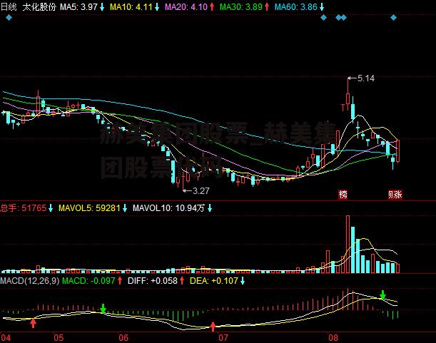 赫美集团股票_赫美集团股票代码