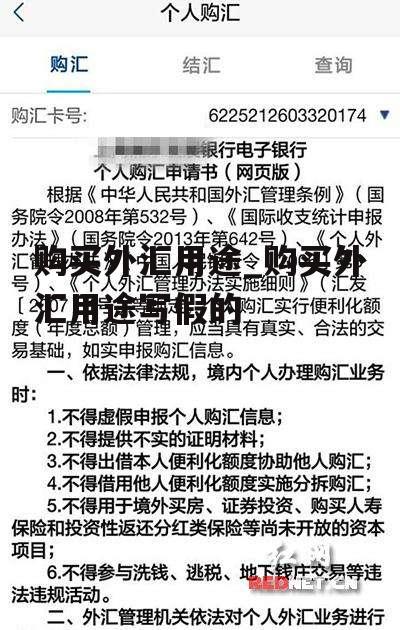 购买外汇用途_购买外汇用途写假的