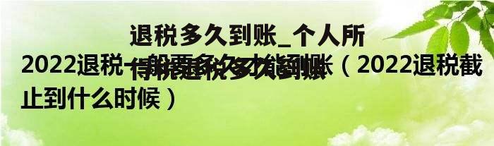 退税多久到账_个人所得税退税多久到账