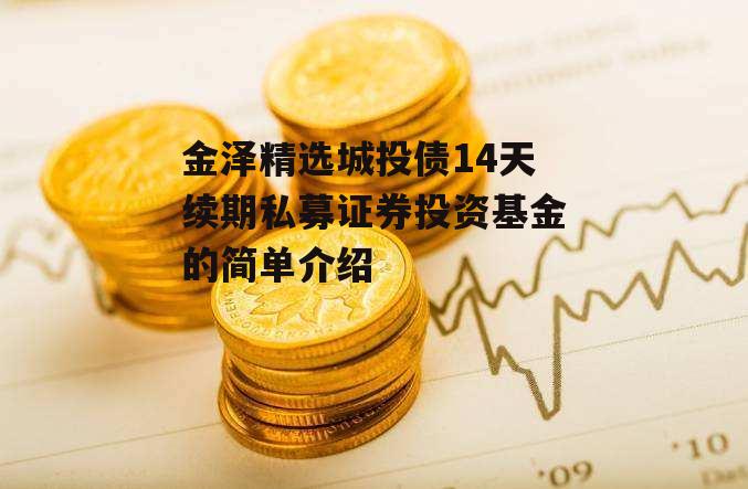 金泽精选城投债14天续期私募证券投资基金的简单介绍