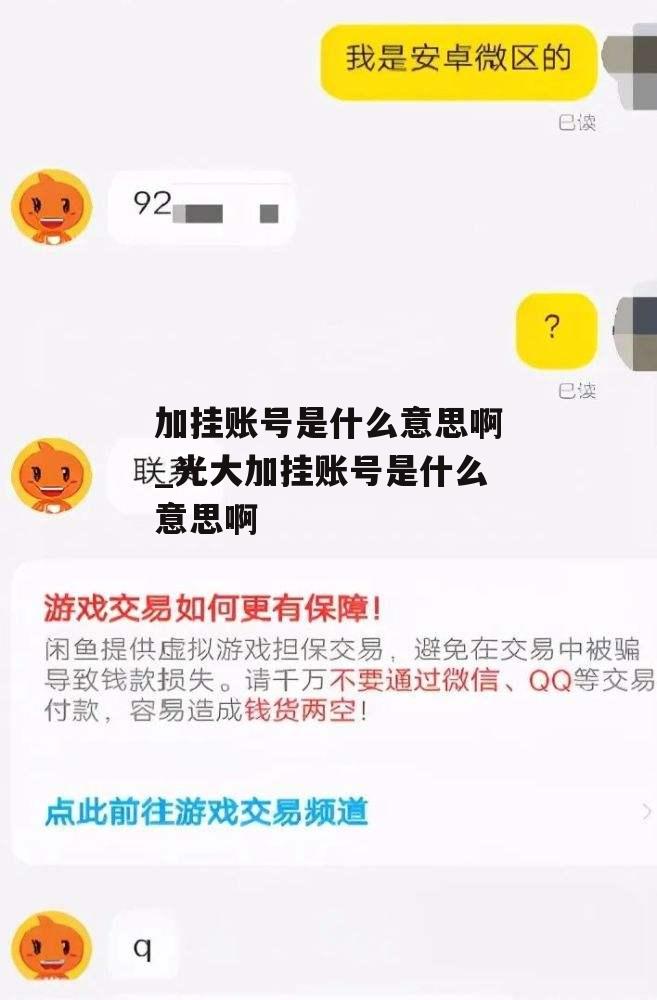 加挂账号是什么意思啊_光大加挂账号是什么意思啊