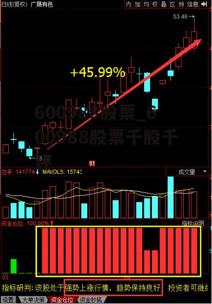 600988股票_600988股票千股千评